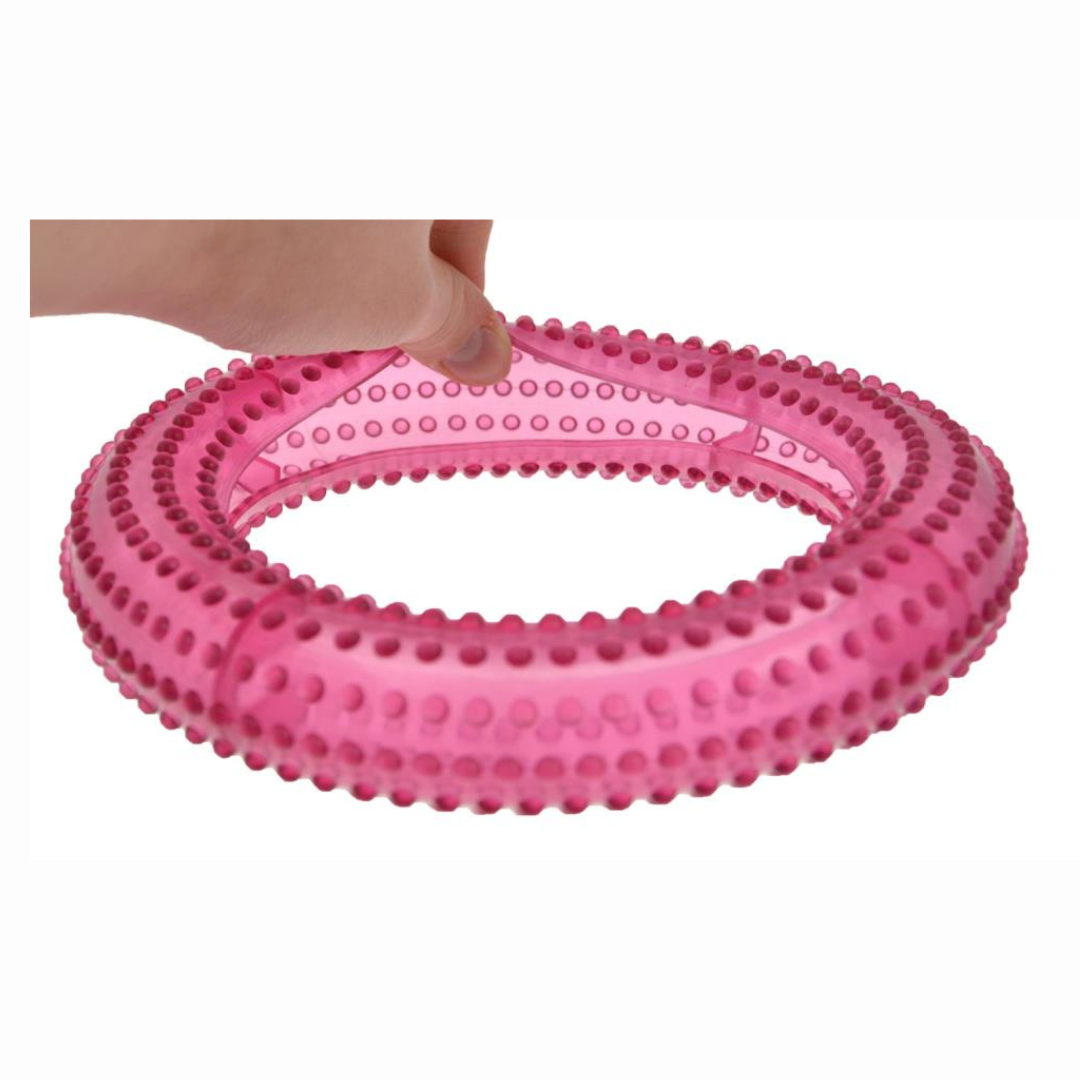 Treat Ring Dog Toy