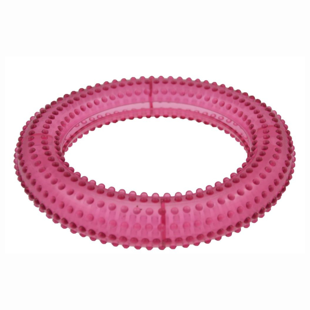 Treat Ring Dog Toy