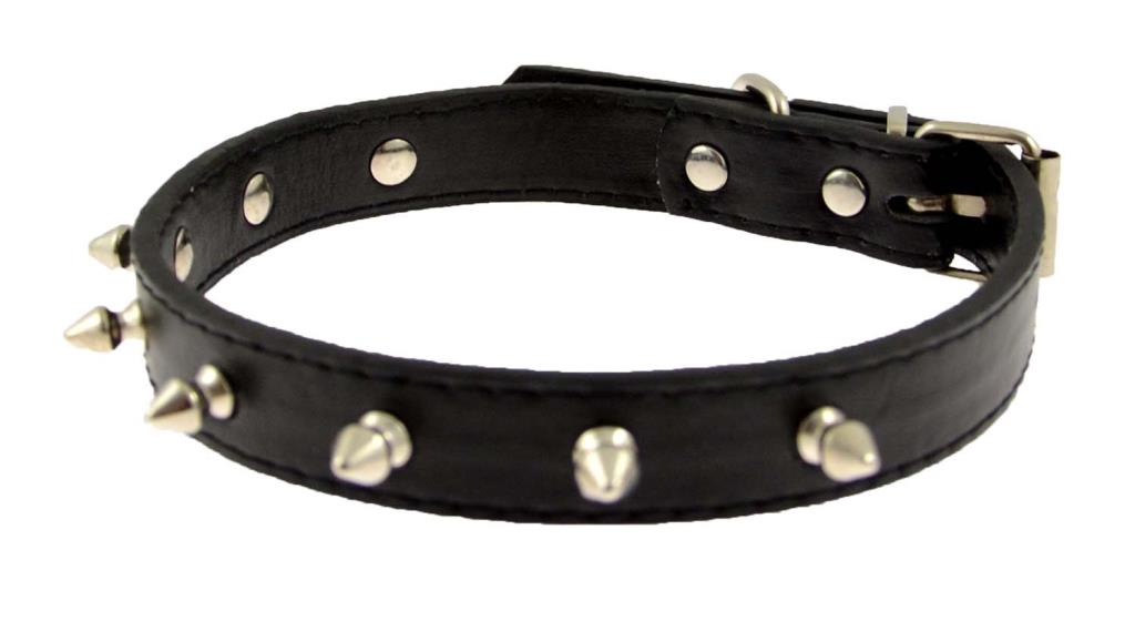 Studded Dog Collar - Small